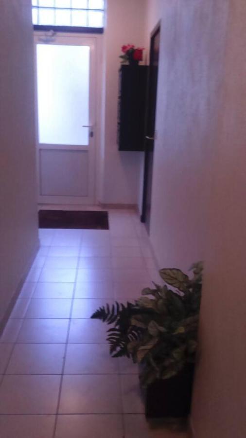 Appartement Cosy Entre Bosquet Et Beaumont Pau Kültér fotó
